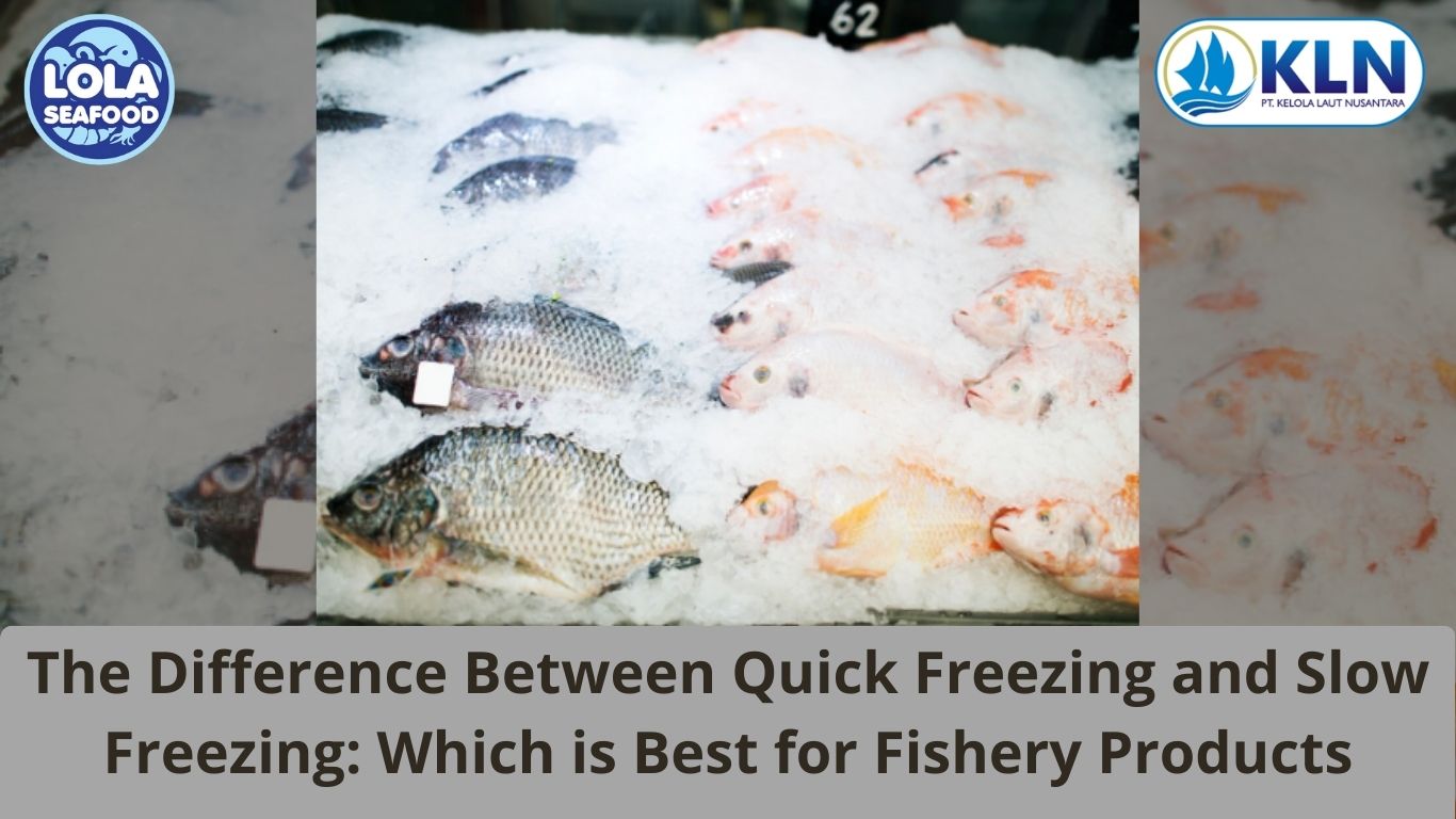 The Difference Between Quick Freezing and Slow Freezing: Which is Best for Fishery Products
